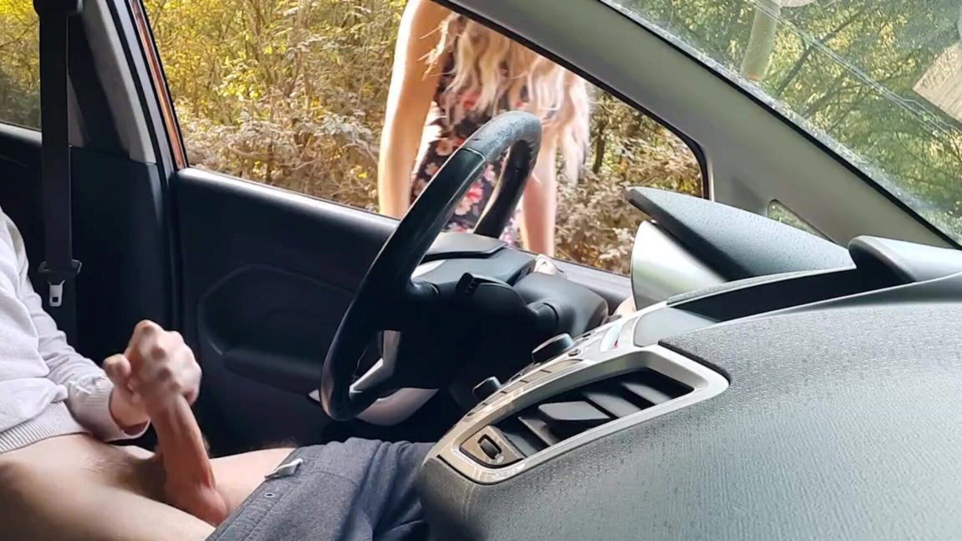 Public Dick Flash! a Naive Teen Caught me Jerking off in the Car in a Public Park and assist me Out.