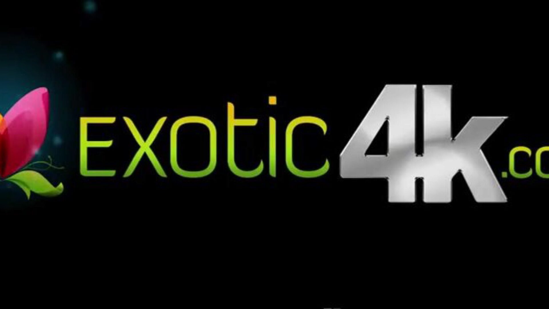 Exotic4K - Time for football kick off with playgirl Janice Griffith