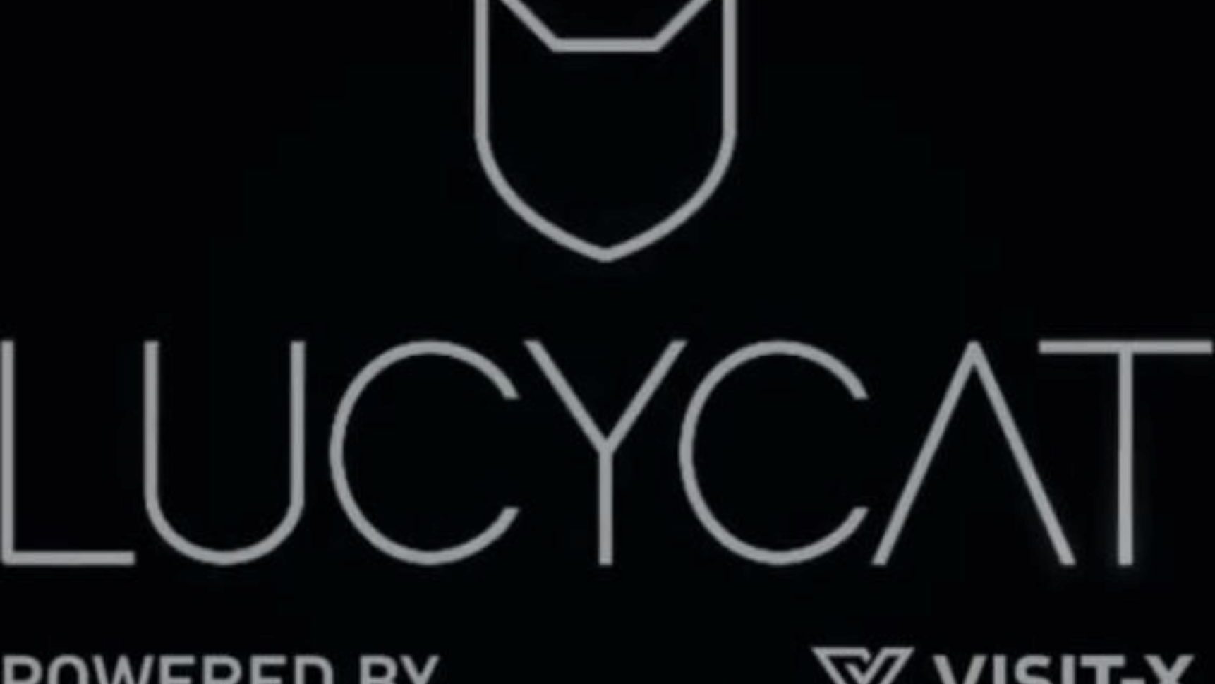 Desafío interactivo - Lucy Cat